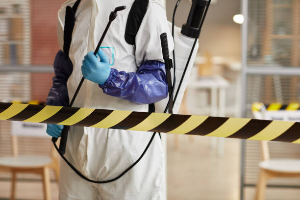 Professional Infectious Disease Decontamination technician working in Bayview, ID